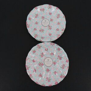 Shabby Chic Rachel Ashwell 2 Pack Pink Rose Flower Scallop Paper 9in Plates NEW